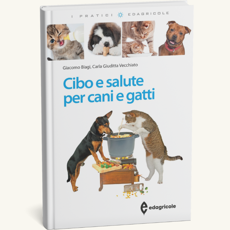 Giornata amanti dei cani 2025-foto (2)