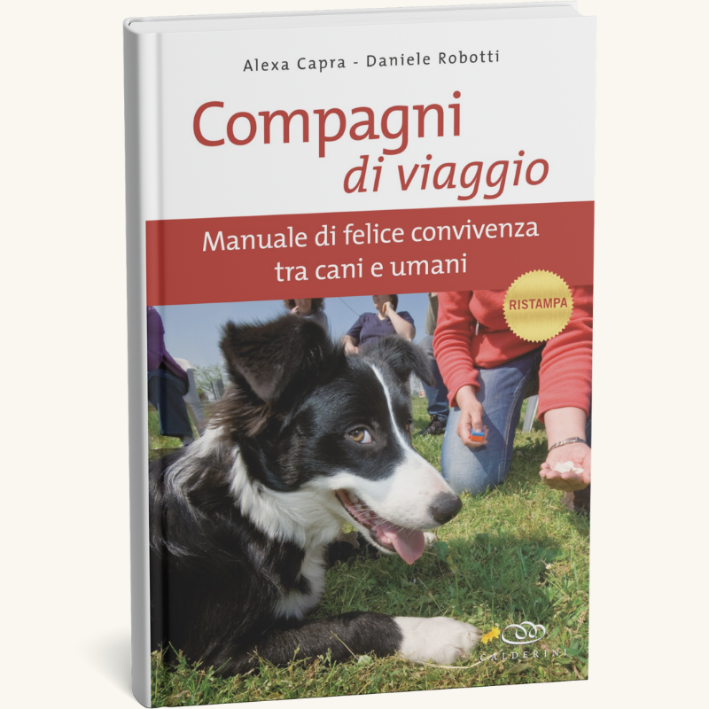 Giornata amanti dei cani 2025-foto (3)