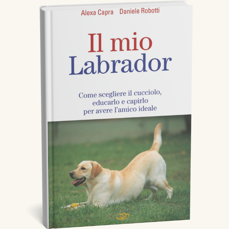 Giornata amanti dei cani 2025-foto (4)