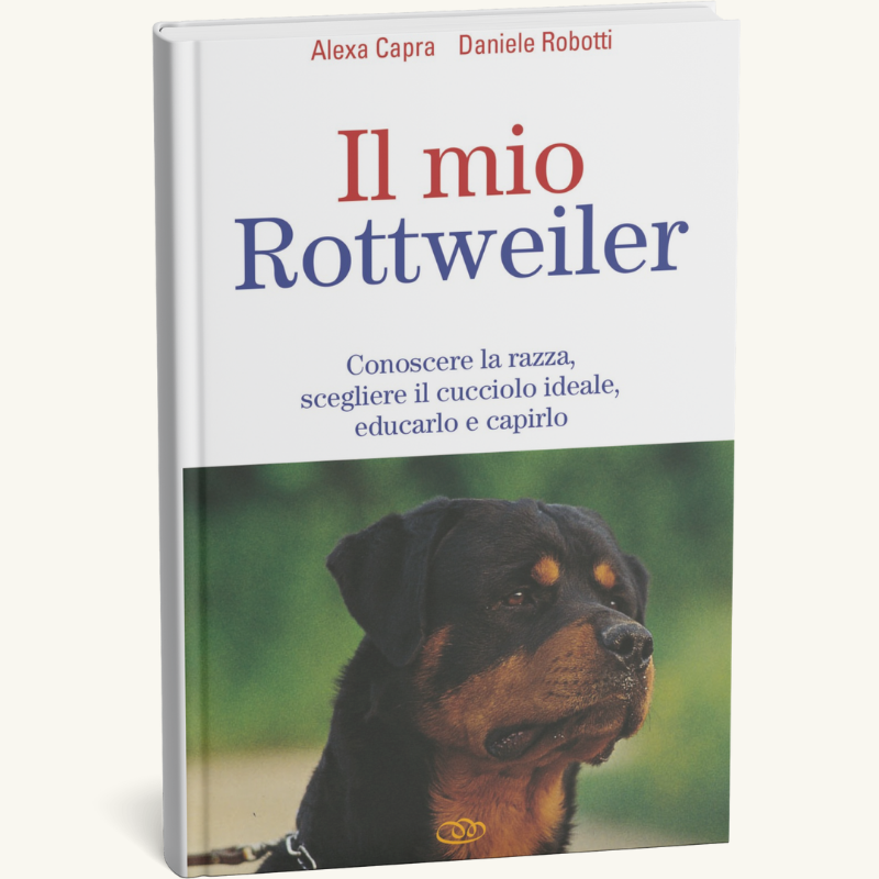 Giornata amanti dei cani 2025-foto (5)