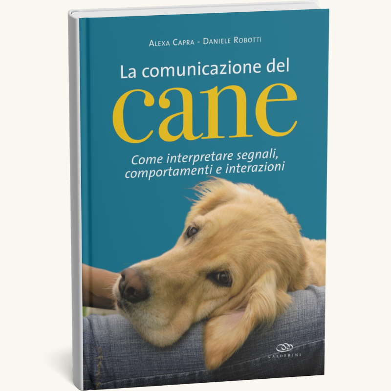 Giornata amanti dei cani 2025-foto (6)