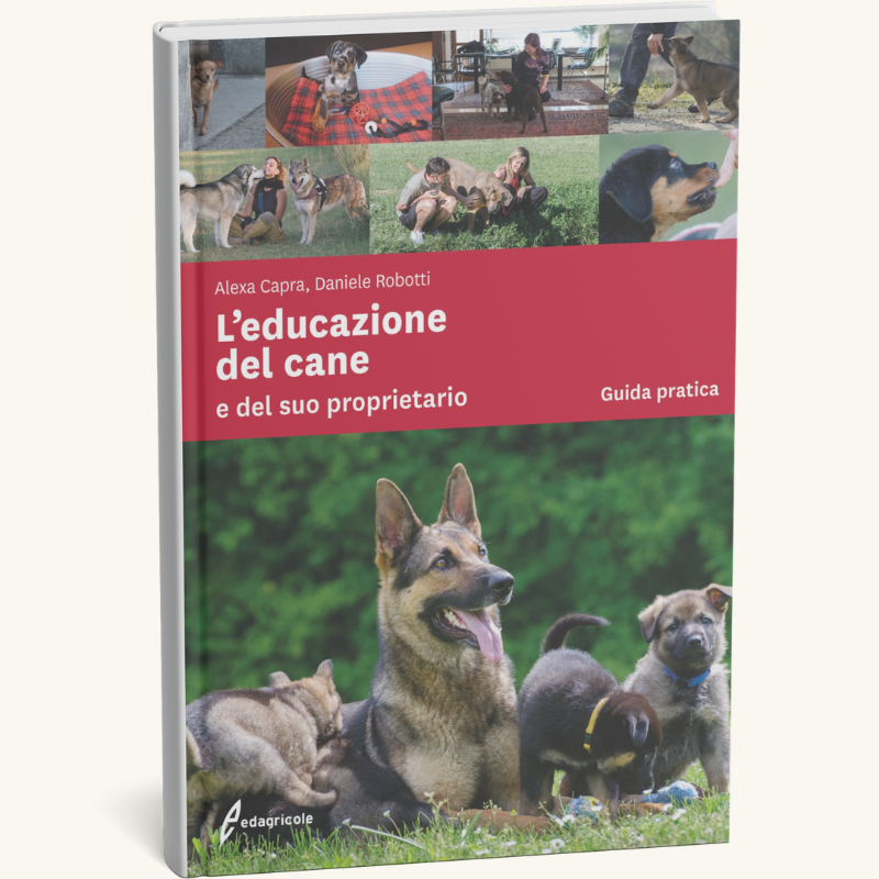 Giornata amanti dei cani 2025-foto (7)