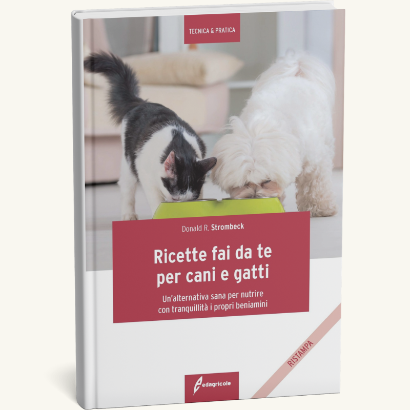 Giornata amanti dei cani 2025-foto (8)