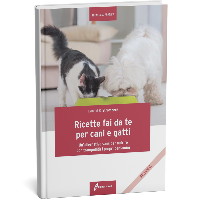 Giornata gatto 2025-foto (2)