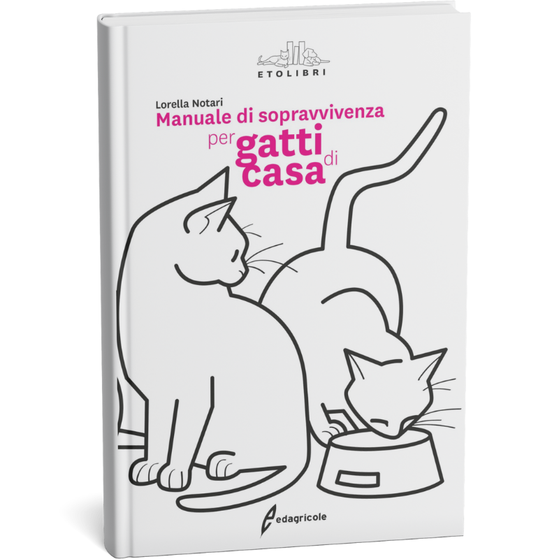 Giornata gatto 2025-foto (4)