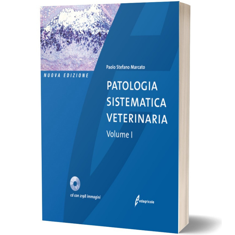 Giornata gatto 2025-foto (6)