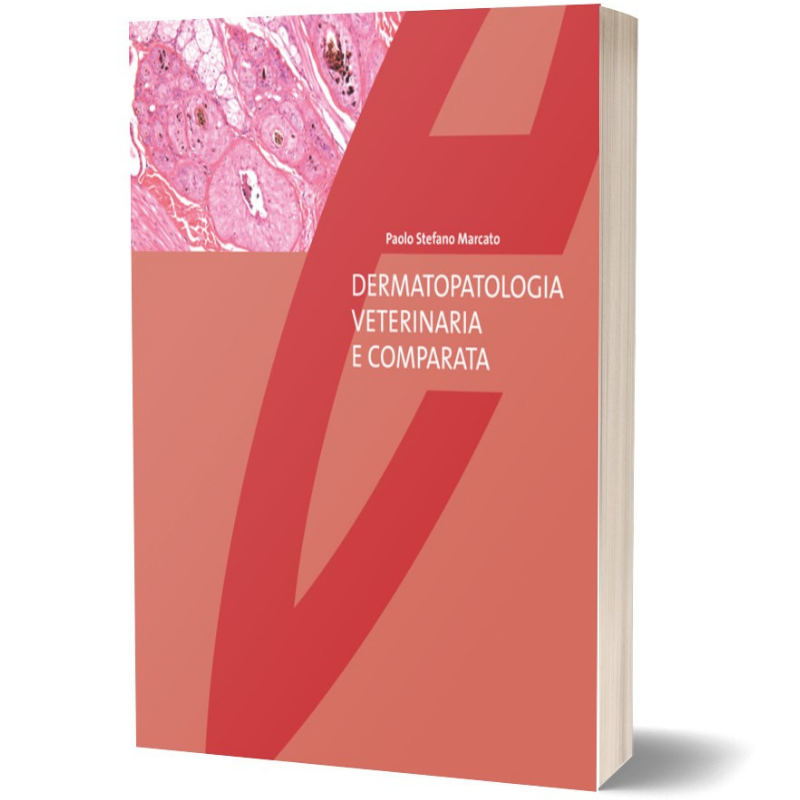 Giornata gatto 2025-foto (7)