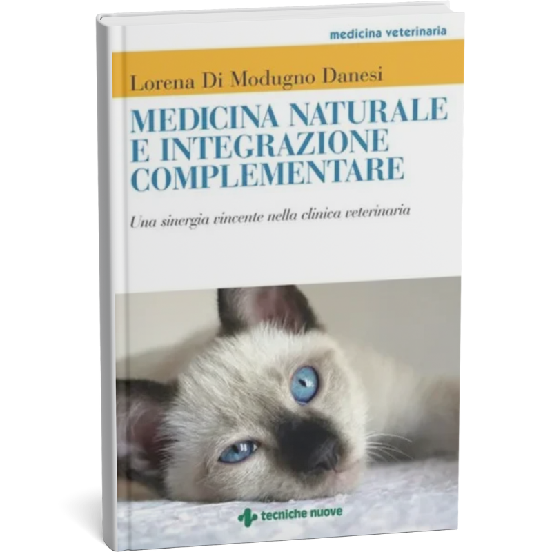 Giornata gatto 2025-foto (8)